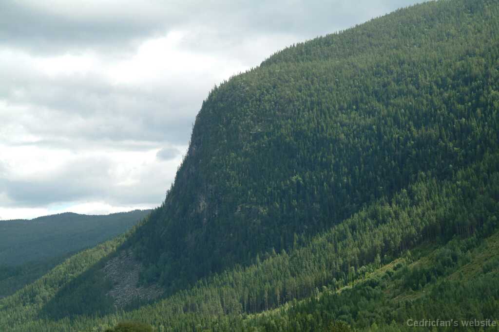 DSCF9701