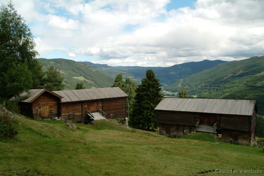 DSCF9743