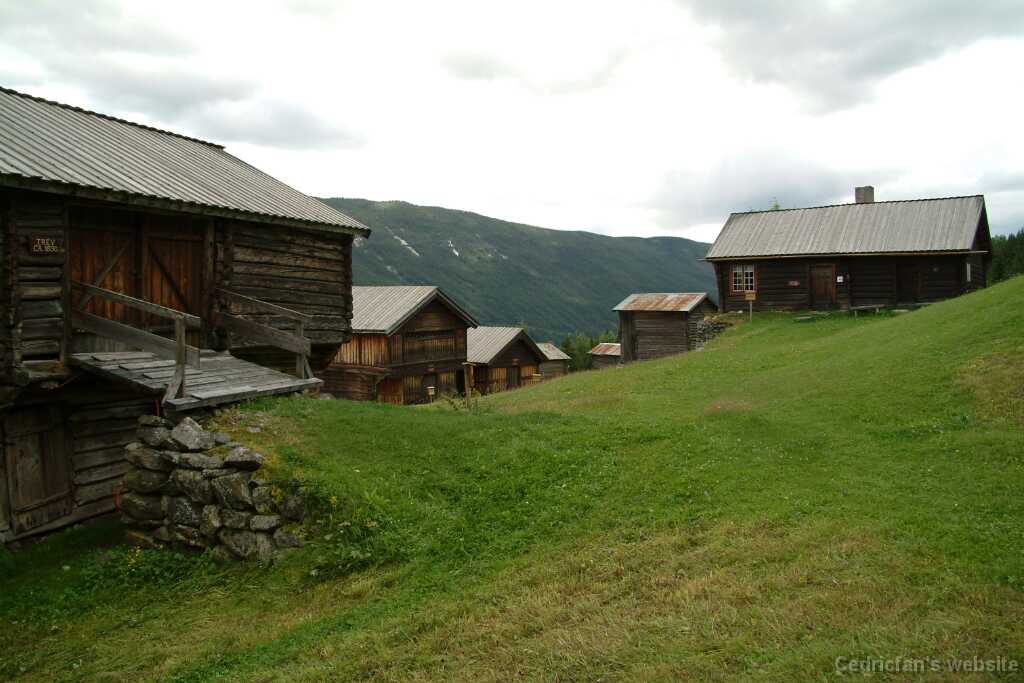 DSCF9753