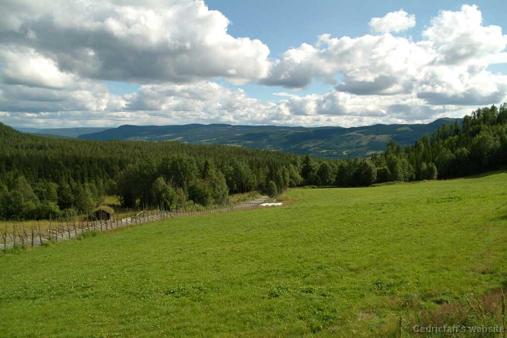 DSCF9768