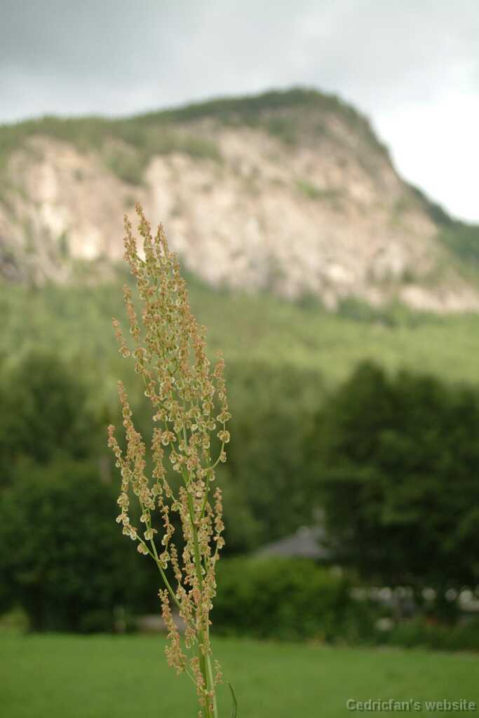 Dscf9703