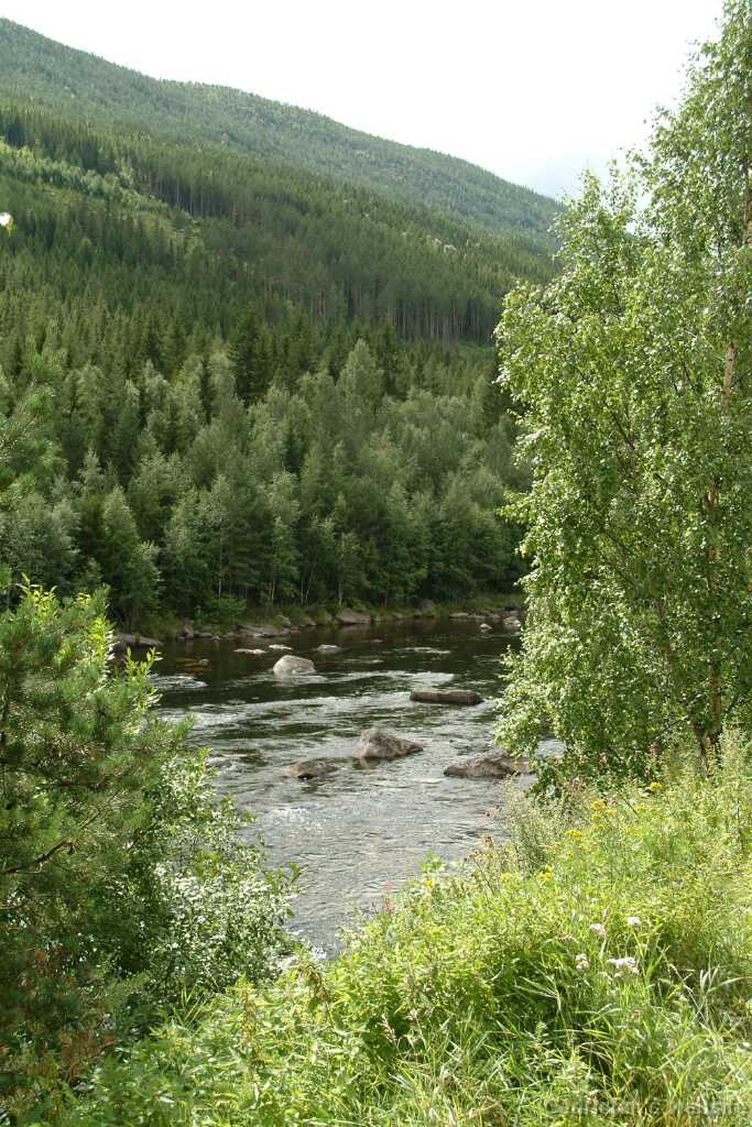 Dscf9707