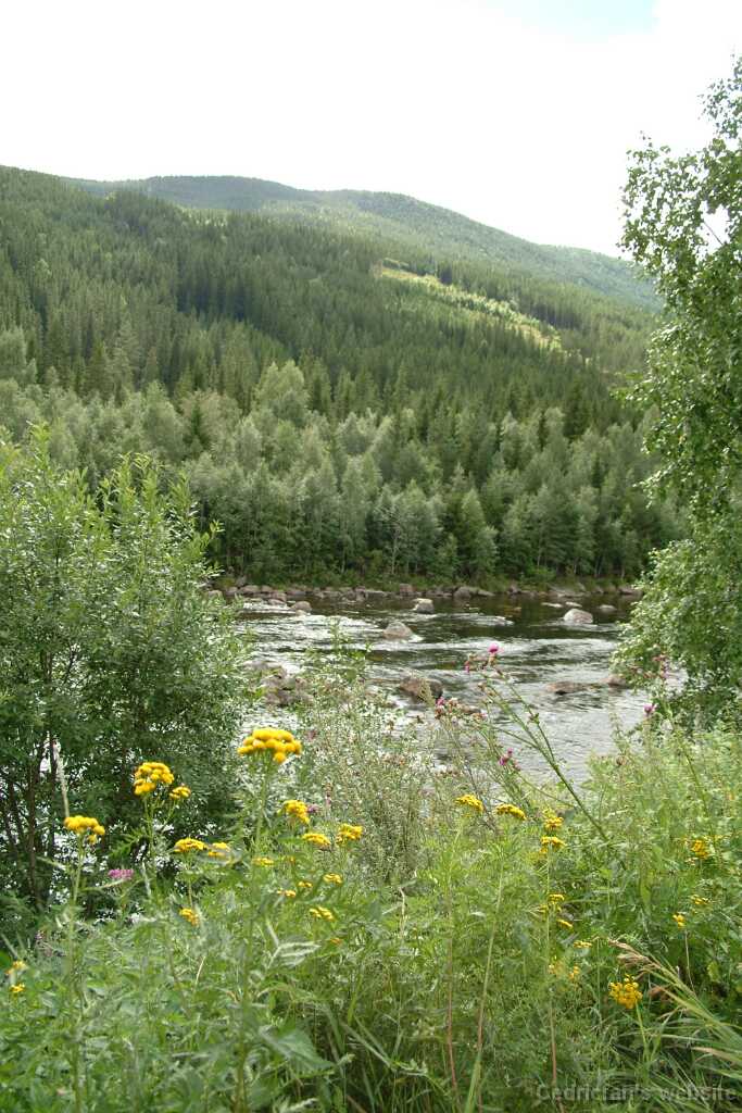 Dscf9708