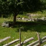 DSCF9741