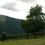 DSCF9745