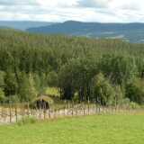 DSCF9766