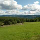 DSCF9768