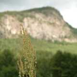 Dscf9703