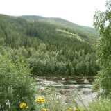 Dscf9708