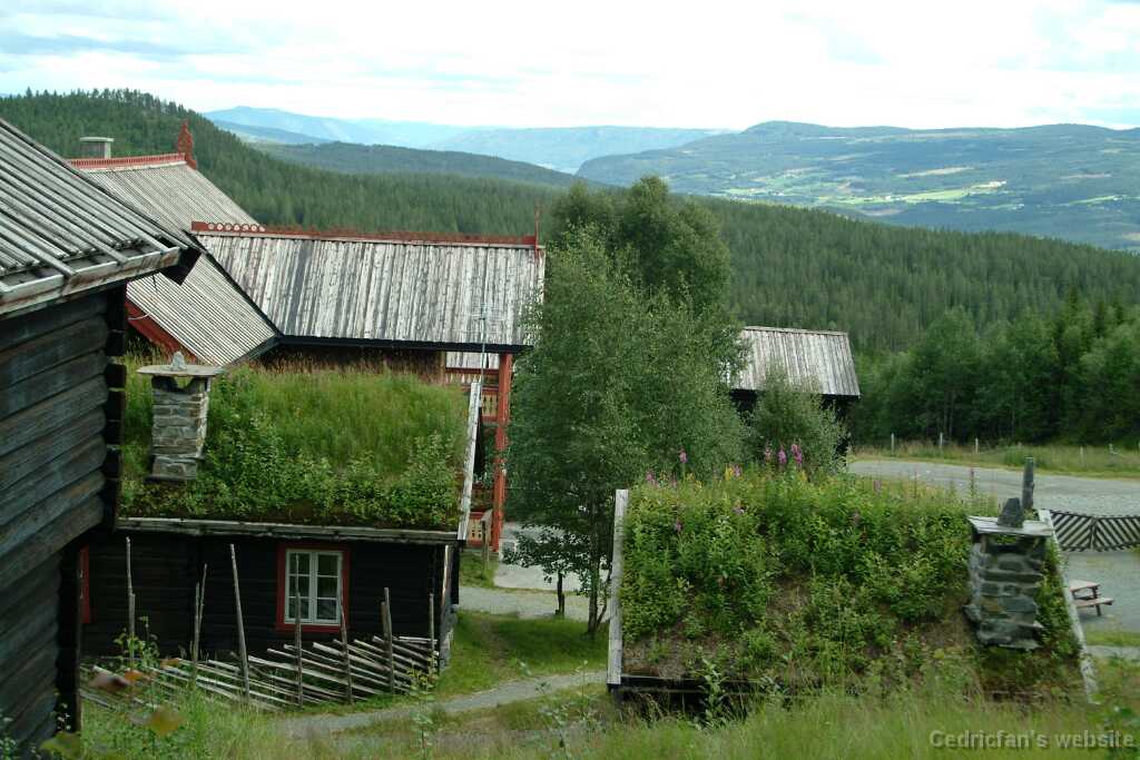 DSCF9778