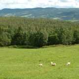 DSCF9771