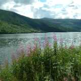 DSCF9846