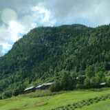 DSCF9847