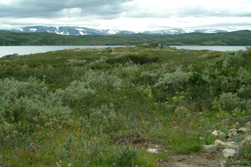DSCF9881