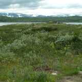 DSCF9881