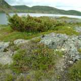 Dscf9890