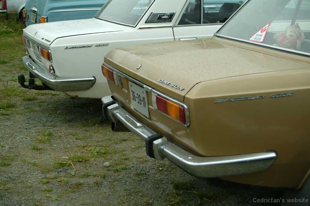 DSCF9924