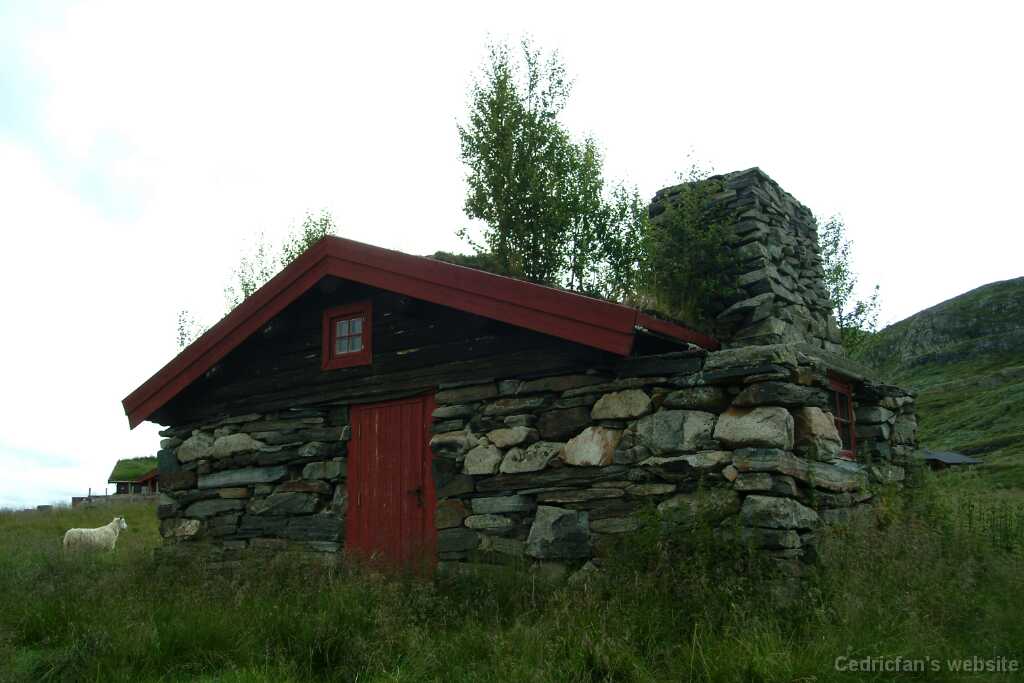DSCF9941