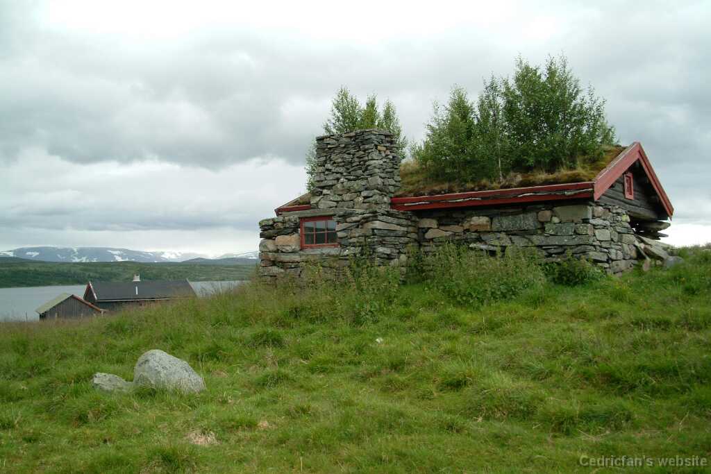 DSCF9942