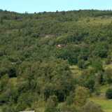 NRinnetalo