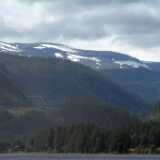 NVuoria