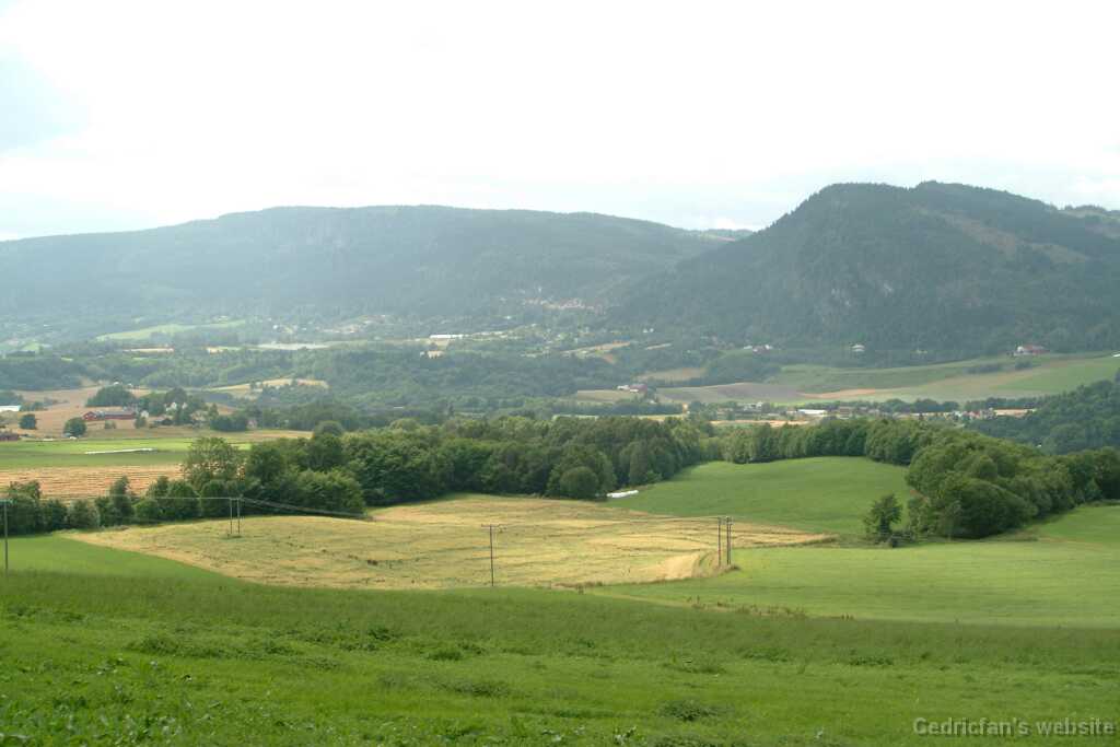 DSCF9633