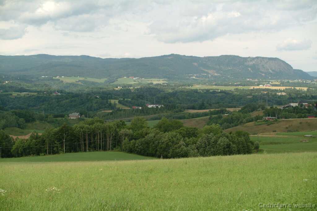 DSCF9636