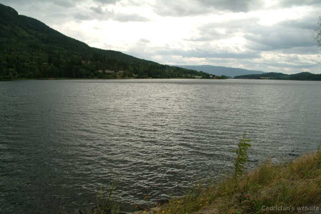 DSCF9645
