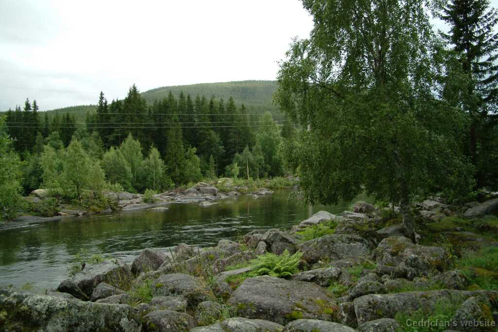 DSCF9647