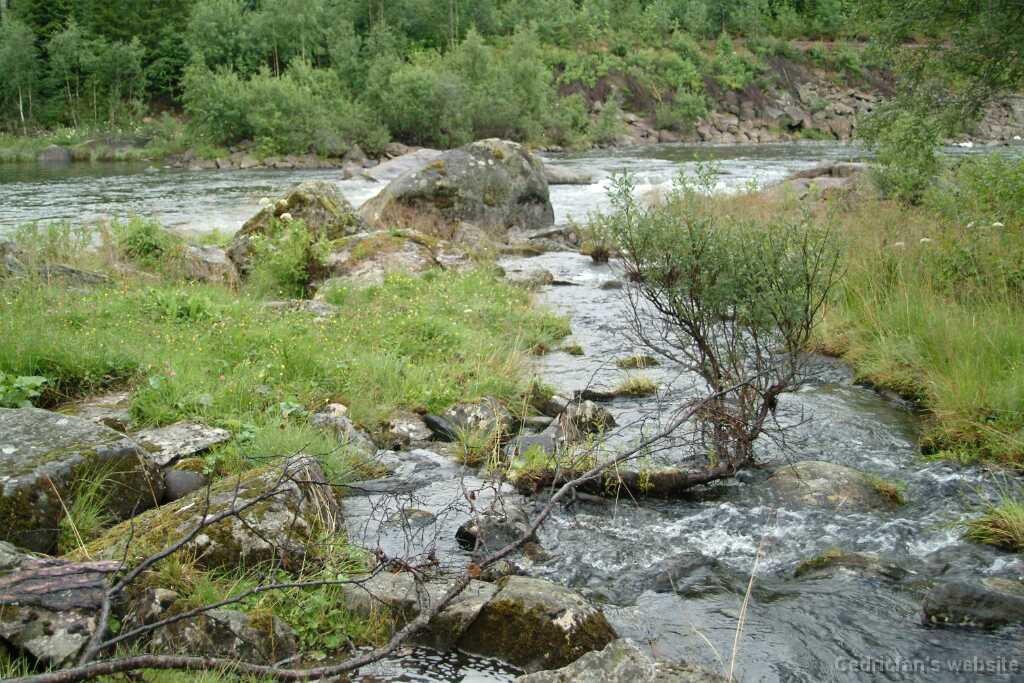 DSCF9669