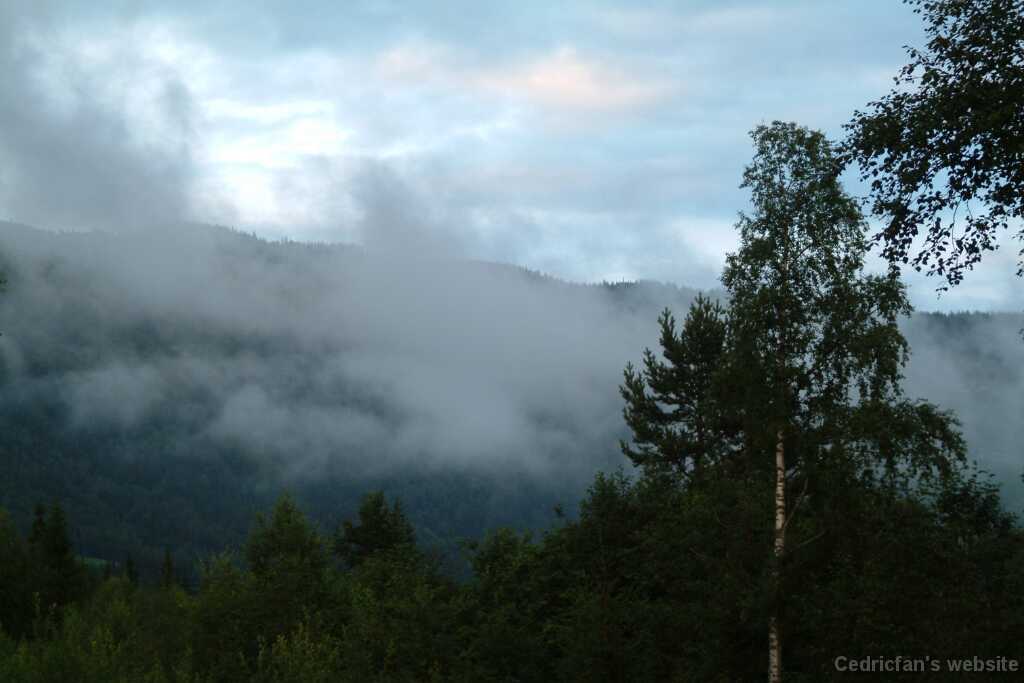 DSCF9673
