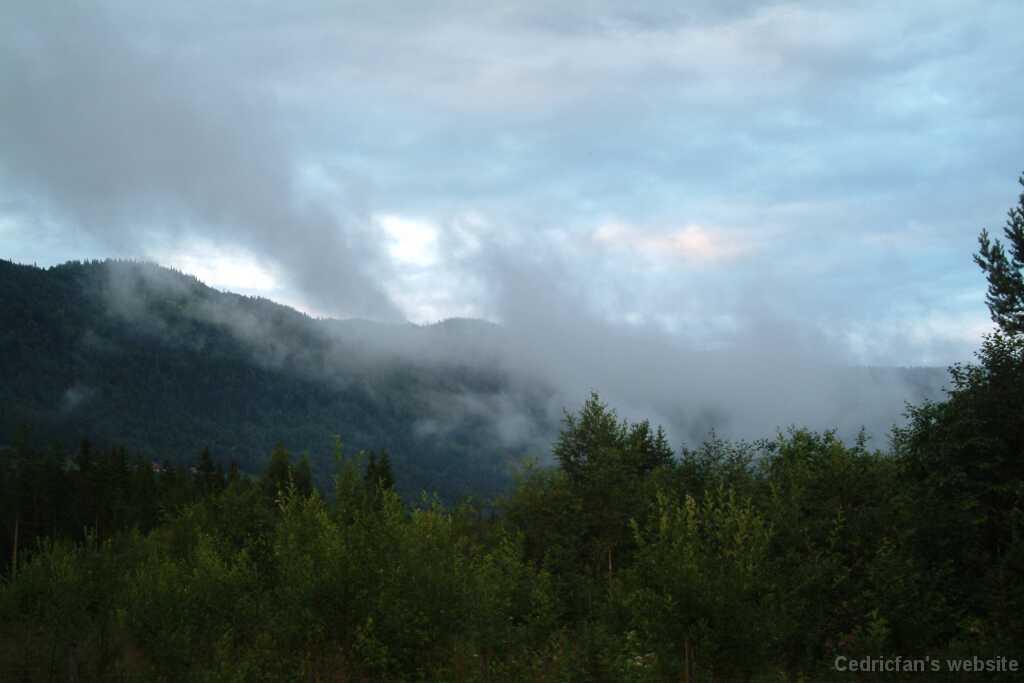 DSCF9674