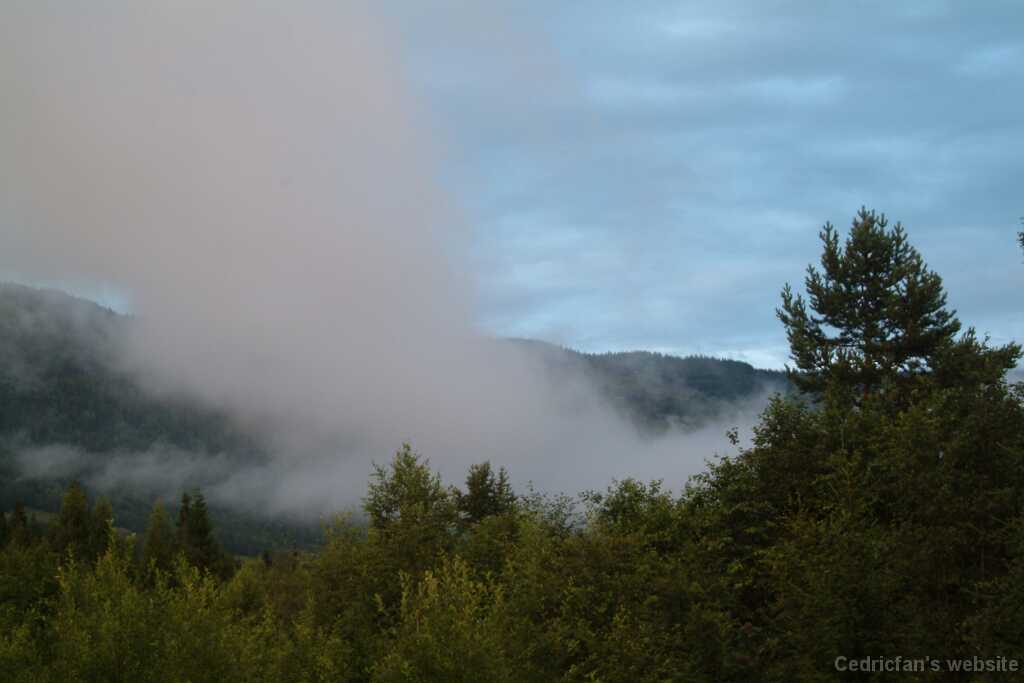 DSCF9682