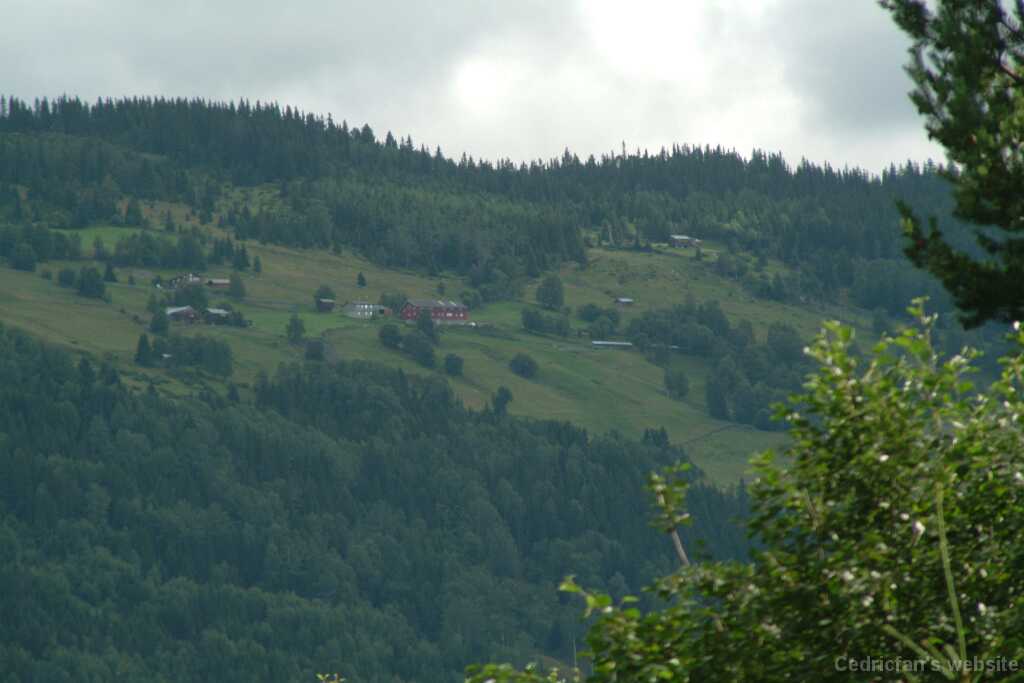 DSCF9691