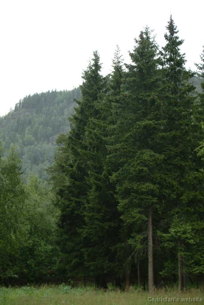 Dscf9656