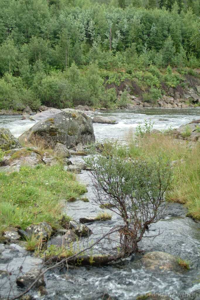 Dscf9668