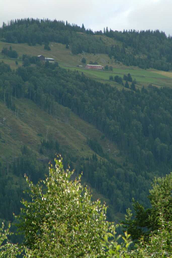 Dscf9690