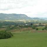 DSCF9631