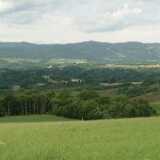 DSCF9636