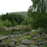 DSCF9647