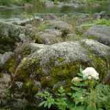 DSCF9648