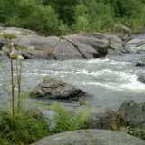 DSCF9654