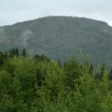DSCF9655