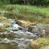 DSCF9667