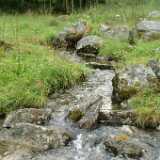 Dscf9666a