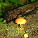 Dscf9671