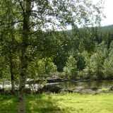 Dscf9688