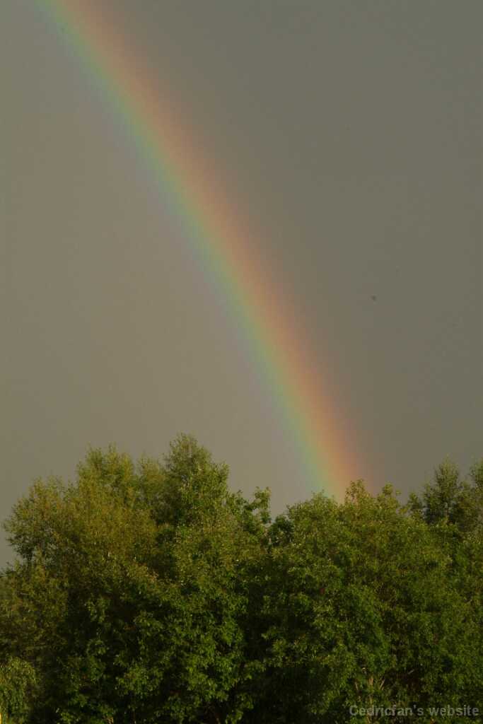 Dscf0196