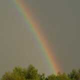 Dscf0196