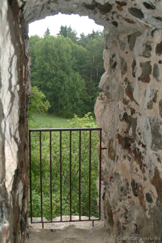 Dscf9391